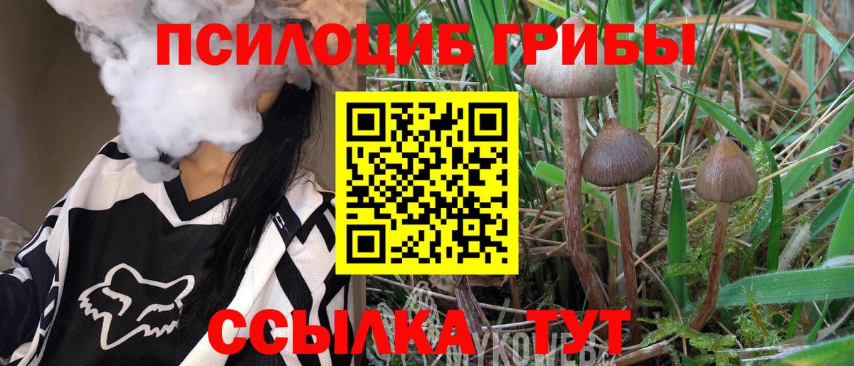 Михайловск  Галлюциногенные грибы мицелий  Псилоцибиновые грибы MAGIC MUSHROOMS  Вход с VPN 