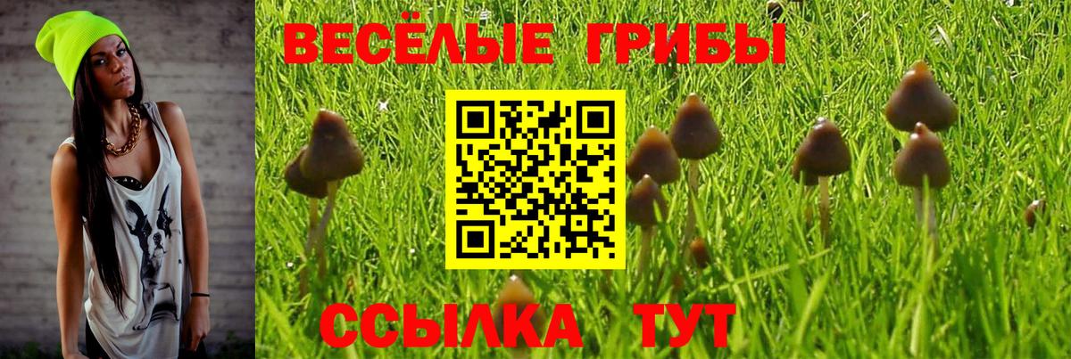 Псилоцибиновые грибы GOLDEN TEACHER Михайловск